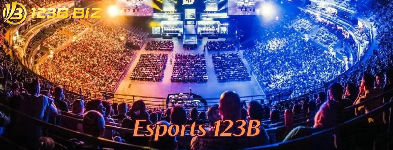 Cá cược thể thao điện tử 123b uy tín hàng đầu Châu Á 4 Thể thao điện tử 123b uy tín hàng đầu Châu Á